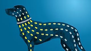 Works Through Contact